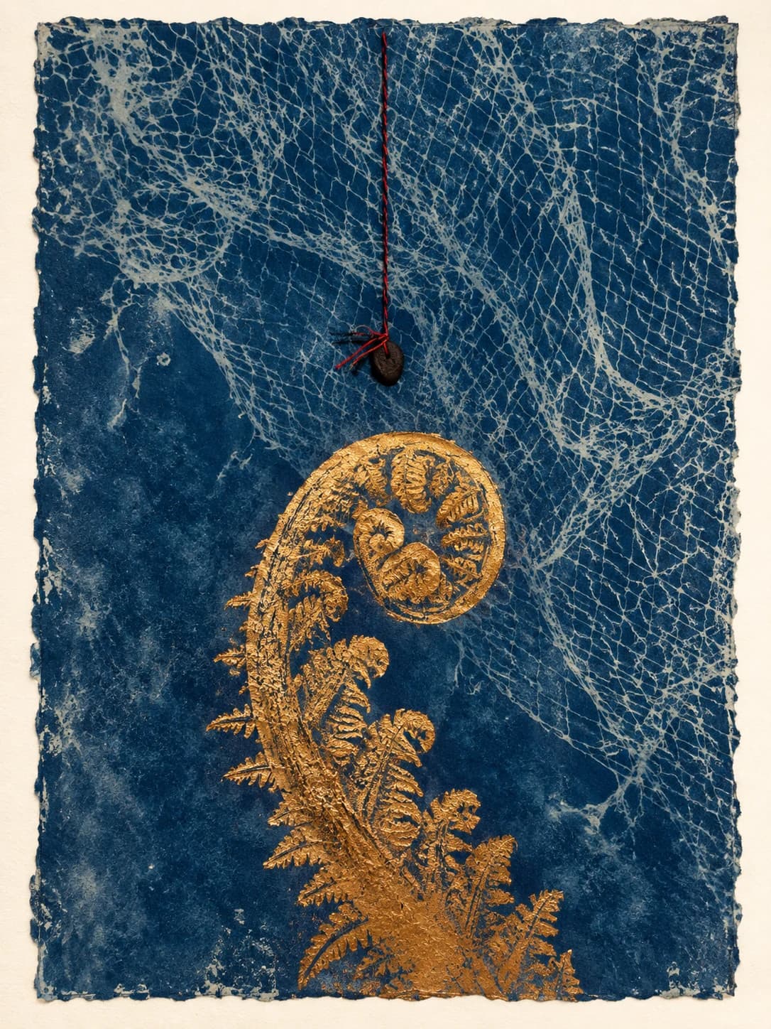 An unfurling gold fern beneath a delicate net on indigo handmade paper